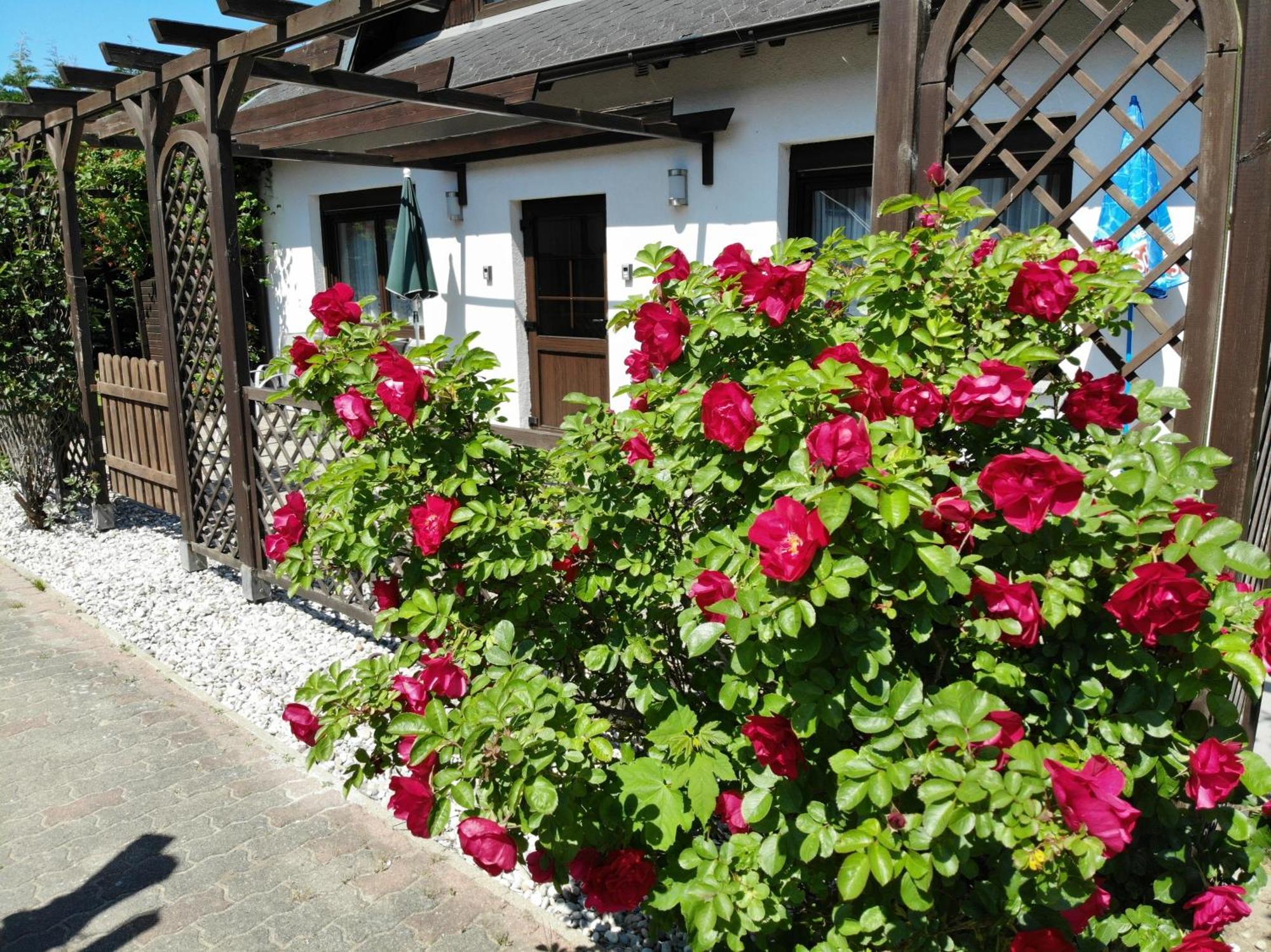 Ferienhaus Kress Rechts Sellin  Ngoại thất bức ảnh